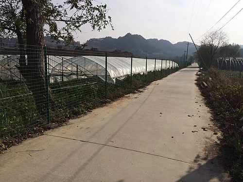 南京護欄網(wǎng)價格